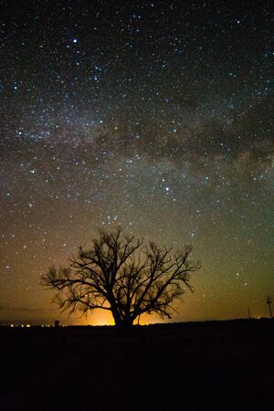 MIlky Way over a lone tree with the sun starting to riseの写真素材