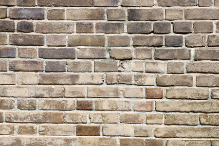 Full texture of old brick wallの写真素材