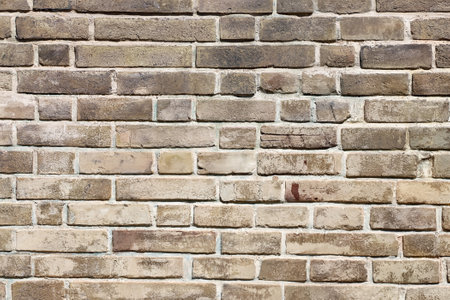 Full texture of old brick wallの写真素材