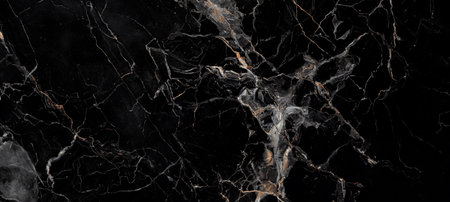 High Gloss Black Marble with Golden Veins â Ideal for Digital Wall Tile Designの写真素材