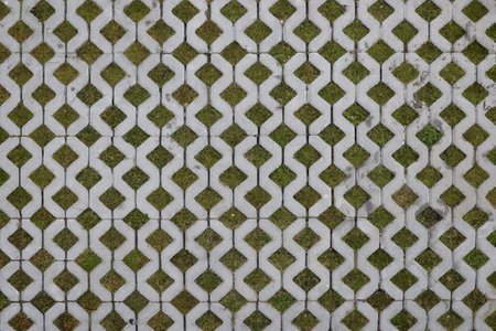 Geometric Eco-Friendly Parking with Green Grassの写真素材