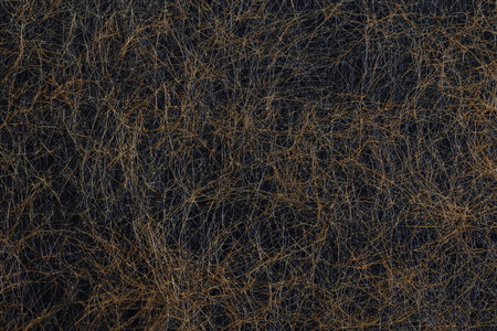 Macro Closeup of Tangled Hair Strandsの写真素材