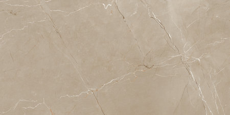 Polished Dark Brown Marble Slab for Kitchen Countertops and Floor Tilesの写真素材