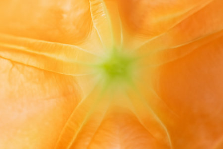 Close-Up of a Bright Yellow Flower with Central Stigma in Focusの写真素材
