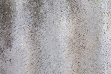 Close-Up of Internal Asbestos Cement Roof Tile Fragmentの写真素材