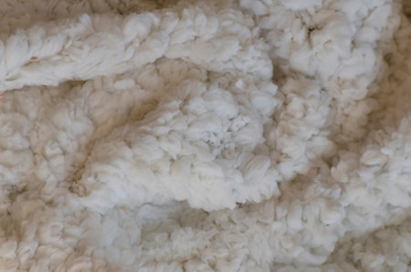 White Soft Plush Lamb Wool Fabric Backgroundの写真素材