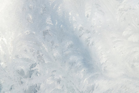 Winter Ice with Tree Shadow on Frozen Glass - Full Frame Textureの写真素材