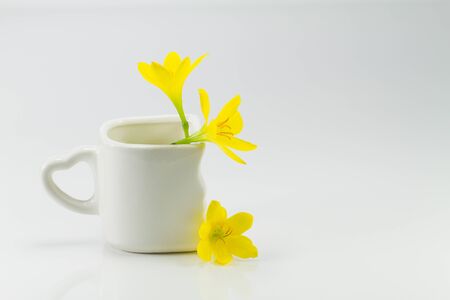 Yellow flowers and white cup on the white backgroundの写真素材