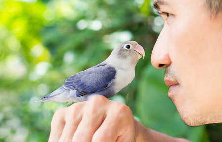 Lovebird on the guy's hand on blurred garden background