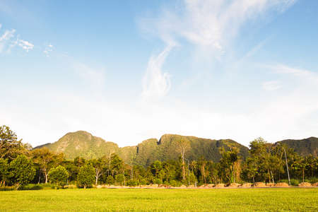 Meadow, forest and mountain in the park with cloudy blue sky in Thailandの写真素材