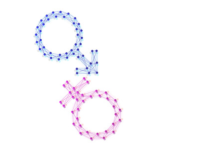 Dots and lines connected to male female symbols  on white backgroundの写真素材