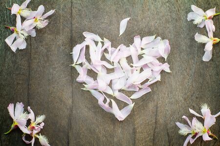 Selective soft focus of heart shaped pink flowers on vintage grunge wooden texture wall backgroundの写真素材