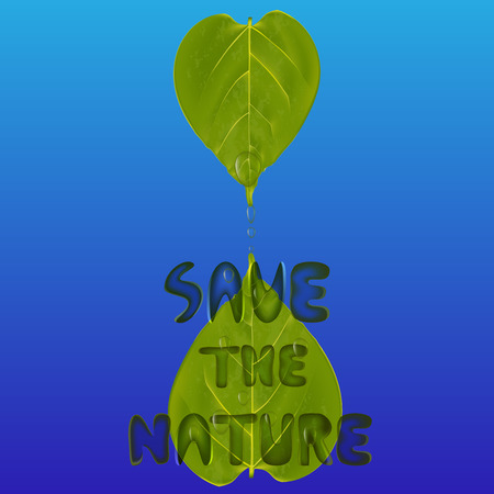Two green leaves with water drops and wordings save the nature, environment concept vector illustrationのイラスト素材