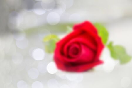 Blurred red rose with green leaves on white table on blurred bokehの写真素材