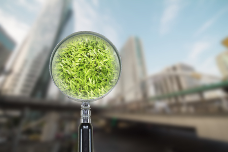 Green grass in grunge magnifier on blurred city background, environment care conceptの写真素材