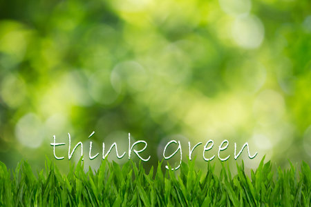 Text think green on green grass on blurred green bokeh background, environment conceptの写真素材