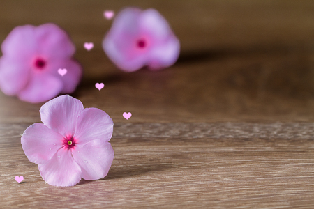 Selective focus pink flowers blooming with pink heart with soft shadow on grunge vintage wooden table, love concept in vintage styleの写真素材