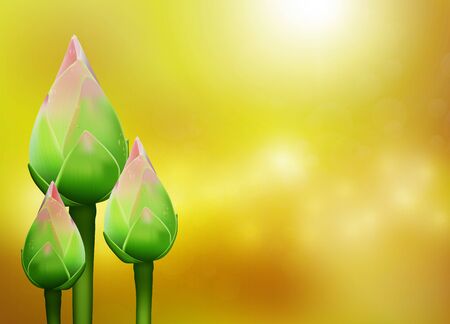 Realistic 3d Thai pink lotus buds with water drop on blurred golden bokeh background vector illustrationのイラスト素材