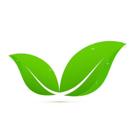 Green leaves logo vector illustrationのイラスト素材