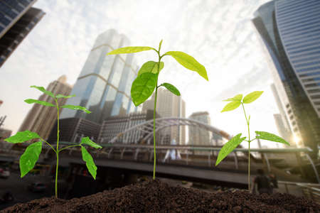 Sprouts growing up on blurred city background, environmental conceptの写真素材