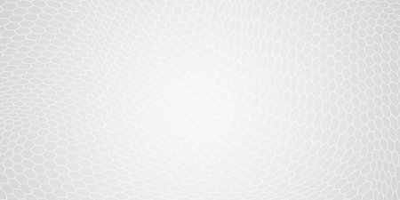 White hexagon texture background vector illustrationのイラスト素材