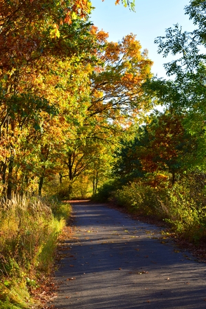 autumnの写真素材