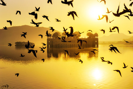 Jai Mahal during sunriseの写真素材