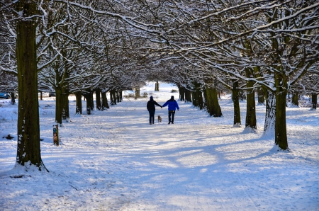A couple walking a dog in snow covered Richmond Parkの素材