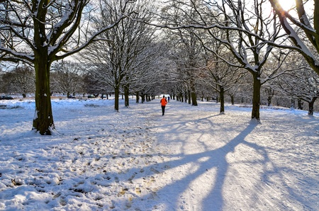 A runner running through a snow covered Richmond Park in winterの素材
