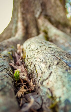 fightの写真素材