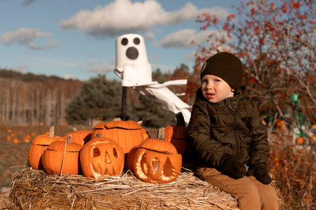 the boy is sitting on a bale of hay with pumpkins. mood halloweenの写真素材