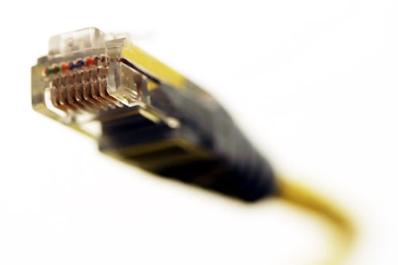 Closeup of computer network cable connector plug.の写真素材