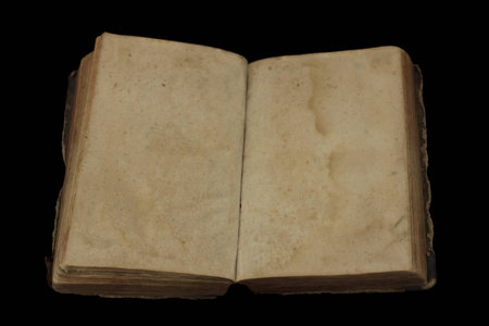 ancient book with blank pages for custom text 