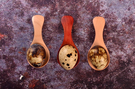Three quail eggs in small wooden spoons, gray backgroundの写真素材