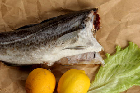 Fresh whole cod without a head on a sheet of paper, lemons and a green lettuce leafの写真素材