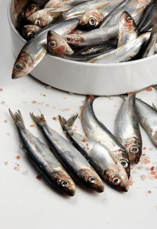 Fresh Baltic herring in a white porcelain dish on a white background. Fresh small silvery fish
