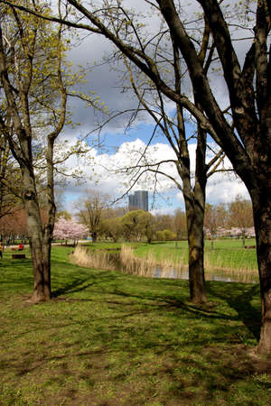 Riga, Latvia - may 05, 2021: People walks and rests in blooming cherry sakura in Victory park (Uzvaras parks) in Riga, Latvia.のeditorial素材