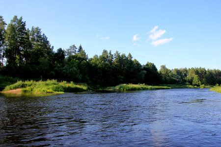 Gauja river surrounded by a green forest and blue sky in the background, Latvia. View of Gauja river...