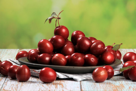 Prunus cerasifera var. pissardii or Spidola plum - Caucasian plum variety bred in Latvia. A small...