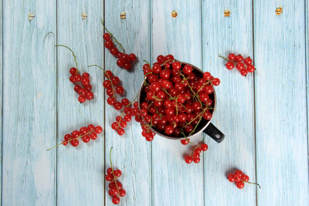 Red currant on blue wooden table background. Cup and jar with fresh red currants (ribes rubrum).の写真素材