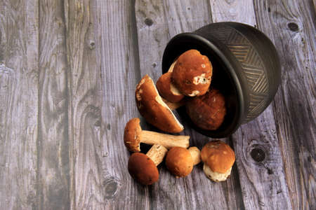 Mushroom Boletus on dark Background. Boletus edulis mushrooms on old wooden backgroundの写真素材