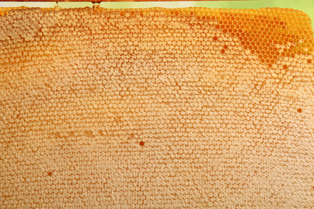 Bee honeycomb with honey, yellow honeycomb wax background. The concept of beekeeping