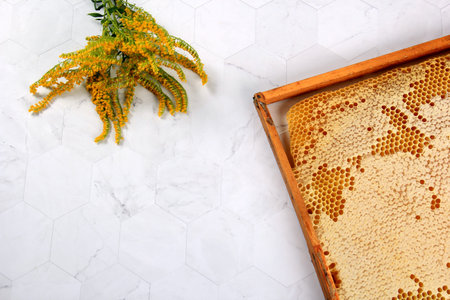 Bee Honeycombs in a Frame, Honey in honeycombs, Beekeeping concept