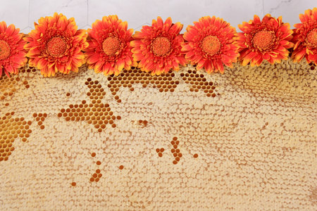 Bee Honeycombs in a Frame, Honey in honeycombs, Beekeeping concept