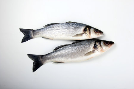Raw sea bass fish, ice cubes and lemon on white backgroundの写真素材