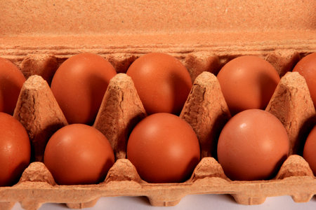 Raw brown eggs in egg box. close-up of chicken eggs in egg box