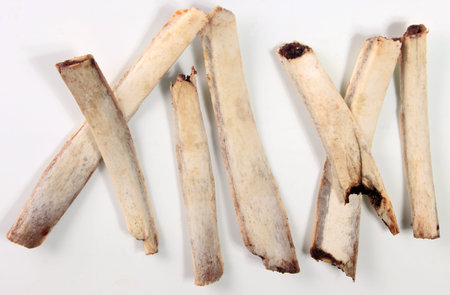 Natural deer bones isolated on white background, Ribs without meat