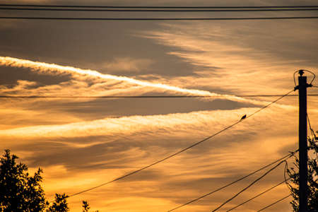 golden sunsetの写真素材