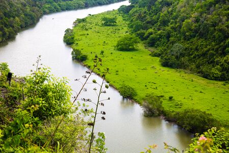 Tropical river Chavon, Dominican Republic. top viewの写真素材