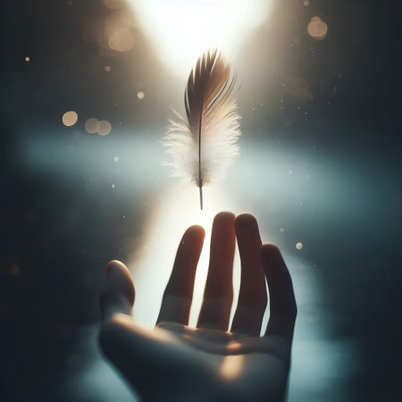Feather in the hand of a woman on a background of lightの素材